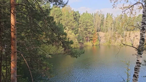 Pine trees frame a calm, deep blue lake Stock Footage 347500237