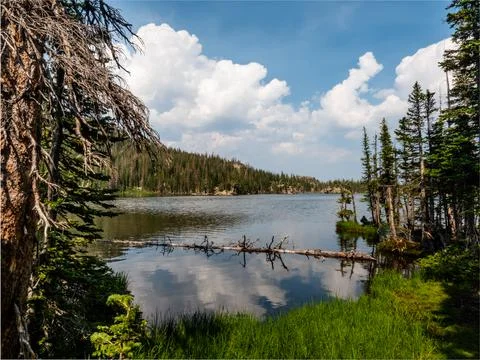Pine trees frame a nature scene with clouds reflecting on a lake in the Rocki Stock Photos
