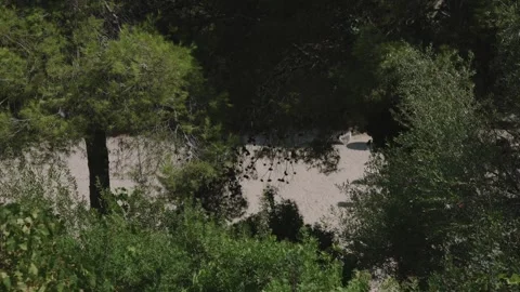 Pine trees framing Cala Esmeralda cove, Mallorca Stock Footage 343435469