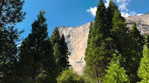 Pine trees framing a granite cliff under a clear blue sky Stockbeeldmateriaal 348149332