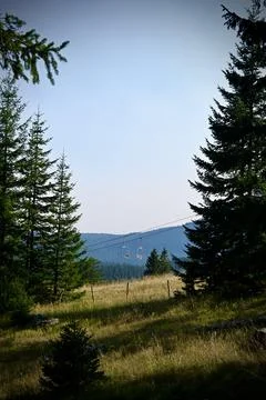 Pine trees framing mountain forest landscape with ski lift Stock Photos