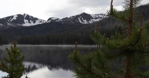 Pine trees framing a still lake 4k 24fps Stock Footage 79831946