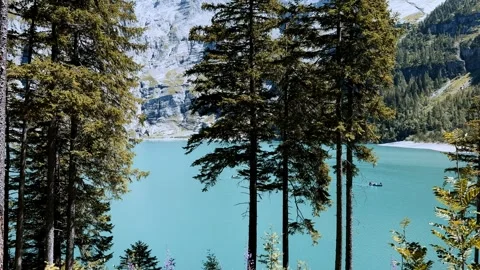 Pine trees framing turquoise alpine Lake Oeschinen in Swiss Alps, mountains back Vídeo Stock 345682858