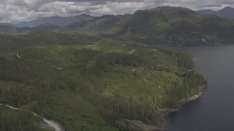 Pine Trees on Grassy Mountains next to lake with clouds and mountains in Stock Footage 255143702