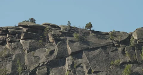 Pine trees grow through cracks in huge stone rocks. Sunny day. Blue sky. Stock Footage 141650364