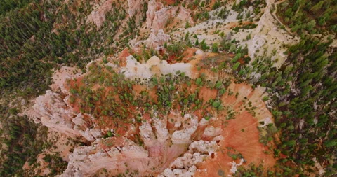 Pine trees growing on the canyon outlandish rocks.  Stock Footage 212991058