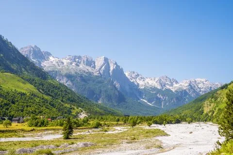 Pine trees with high mountain peaks Stock Photos