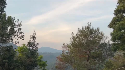 Pine trees on the hills with a beautiful mountain and sky background. Video stock 332367485