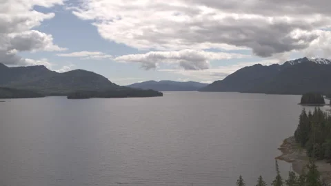 Pine Trees with Lake and Snowy Mountains in Background drone Stock Footage 255143393