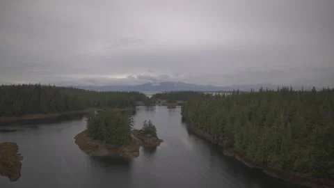 Pine Trees on Lake with Mountains in Background and Boat drone Stock Footage 255144266