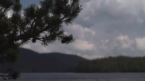 Pine Trees Lake Panorama 4K Stock Footage 63976408