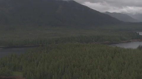 Pine Trees on Lake with Tree Covered Mountains under fog in Background drone Stock Footage 255143761