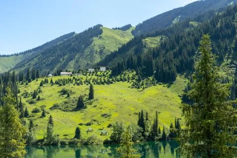 Pine Trees by the Lake under Sunlight - Kazakhstan National Park Stock Photos