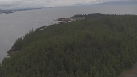 Pine Trees Landscape with Lake and Mountains in Background Aerial Drone Stock Footage 255143602