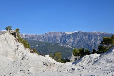 Pine trees landscape Foto stock