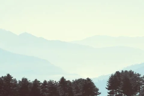 Pine trees with layer of mountains in misty morning, Bhutan Stock Photos