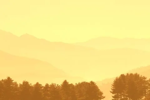 Pine trees with layer of mountains in misty morning, Bhutan Stock Photos