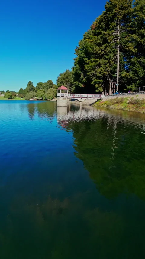 Pine trees mirrored in the still water of a mountain reservoir Stock Footage 346014944