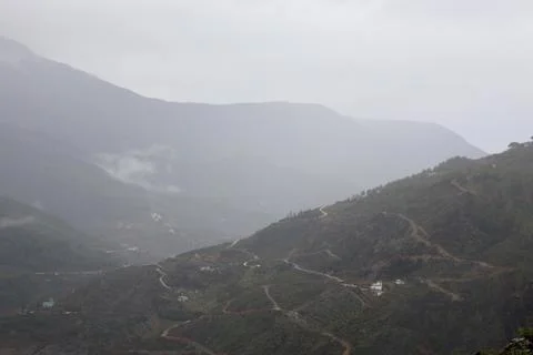 Pine trees mountains Stock Photos