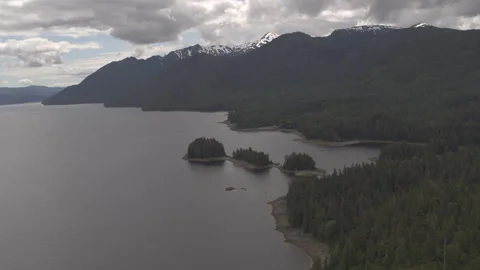 Pine Trees next to Lake with Snowy Mountains in Background Drone Stock Footage 255143560