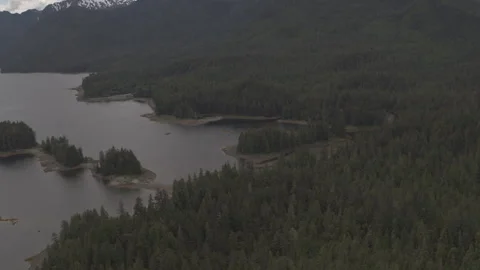Pine Trees next to Lake with Snowy Mountains and Clouds in Background Drone Stock Footage 255143587