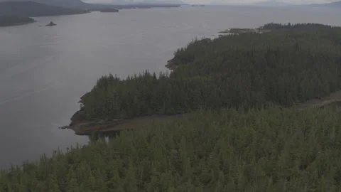 Pine Trees over lake with Snowy Mountains in Background drone Stock Footage 255143492