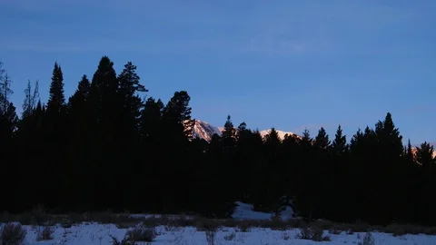 Pine trees over looking snow covered mountain ranges 動画素材 91981984