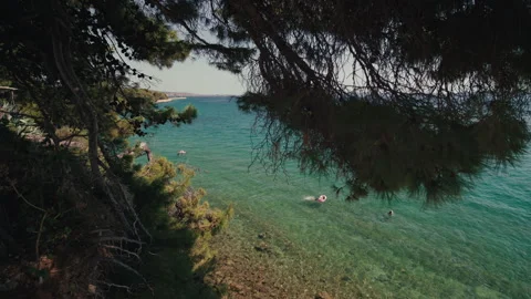 Pine trees overlooking the Adriatic Sea in Croatia Stock Footage 340072205