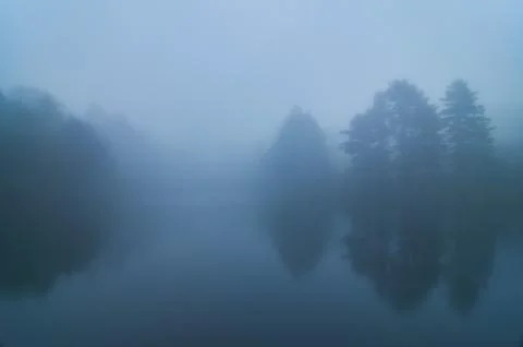 Pine trees reflection on a misty lake Stock Photos
