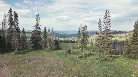 Pine Trees Revealing Uinta Highlands Mountain Valley Forward Push Stock Footage 338355954