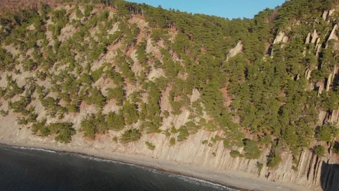 Pine trees on a rock. Big flat stone stands separate on a sea shore washed by Stock Footage 126243207