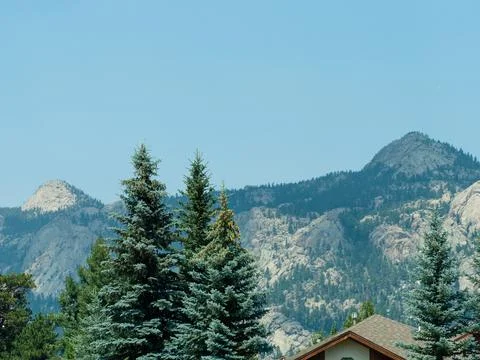 Pine trees with rocky ridges in the background. Stock Photos