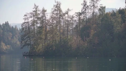 Pine trees row boat on the lake autumn fall Stock Footage 106513398