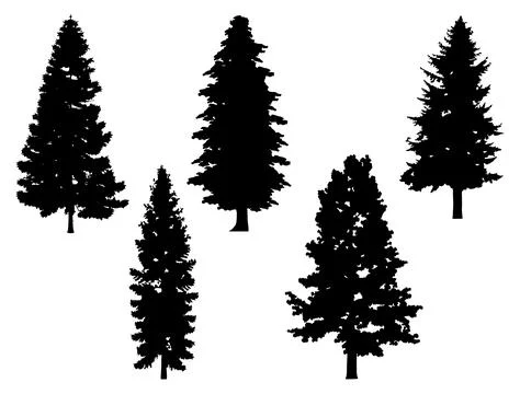 Pine trees silhouette vector art Stock Illustration