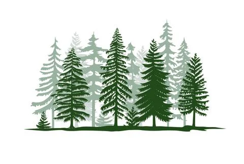 Pine trees silhouette vector illustration Stock Illustration