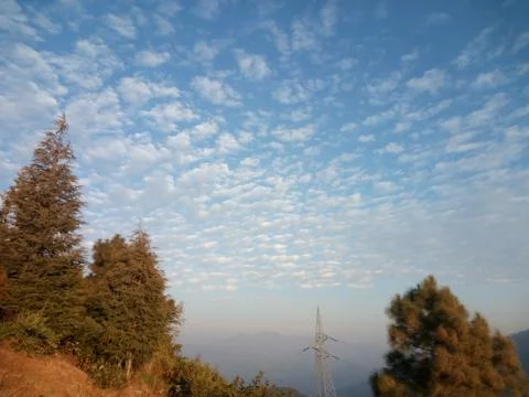 Pine trees sky with cloud from Ranichauri Tehri Garhwal, Uttarakhand Foto stock