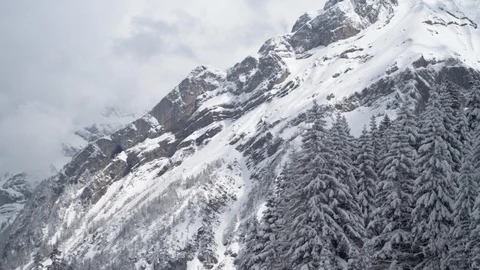 Pine trees on the slopes of snow covered mountains Stock Footage 113238586