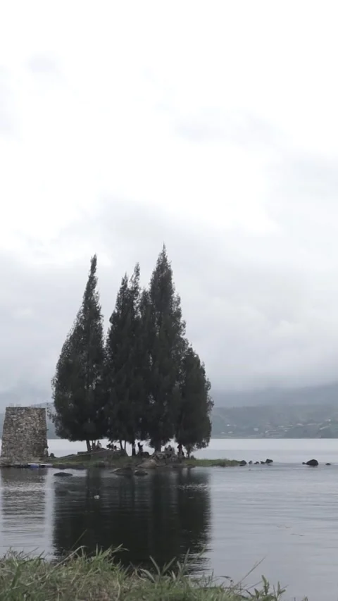 Pine trees at small island Stock Footage 234683775