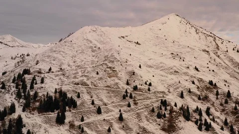 Pine trees on snow covered mountains Stock-Footage 102188830