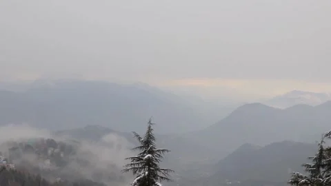 Pine trees with snowfall on them during winter 库存影片 148254377