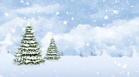 Pine Trees on a Snowy Winter Day Stock Footage 57097045