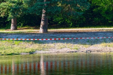 Pine trees standing behind barrier tape at lakeshore during daytime Stock Photos
