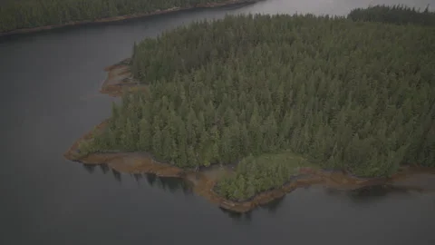 Pine Trees surrounded by Lake mountains in background drone Stock Footage 255144286