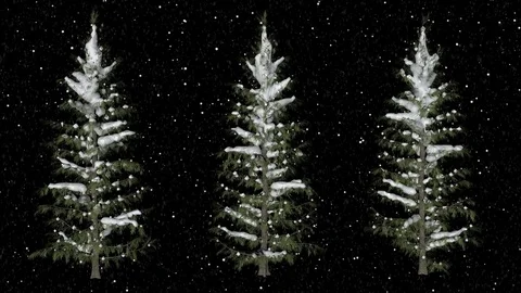 Pine Trees Under The Snowfall Stock Footage 82951140