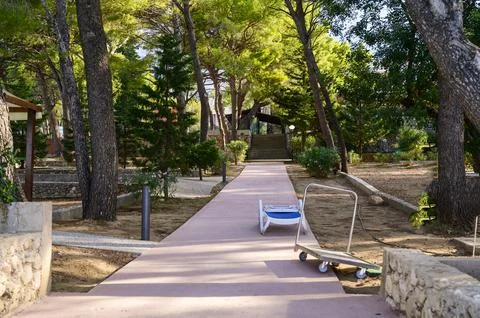 Pine trees, walking path, and a modern relaxation zone in a summer resort area Stock Photos