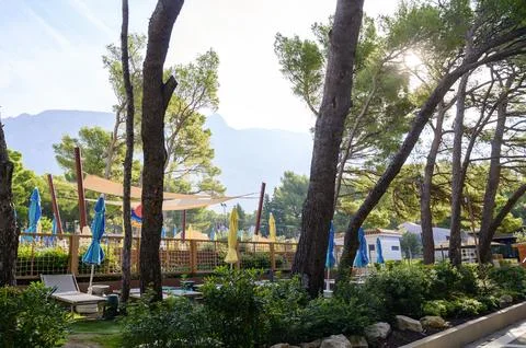 Pine trees, walking path, and a modern relaxation zone in a summer resort area. Stock Photos