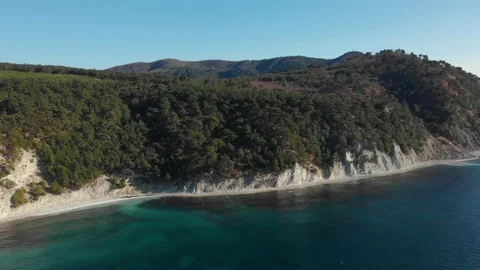 Pine trees on a white rock. Rocky shore of clear blue Black Sea. Aerial shot Video stock 126242981
