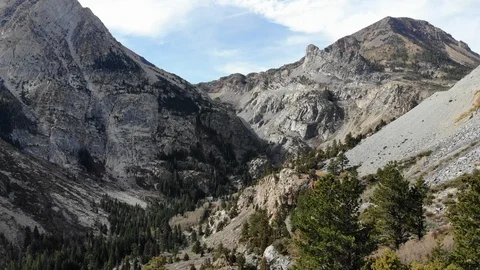 Pine trees at Yosemite Park Stock Footage 98283795