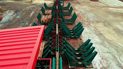 Pine trunks at the sawmill ride on a conveyor for sorting. logging industry Stock Footage 218231336
