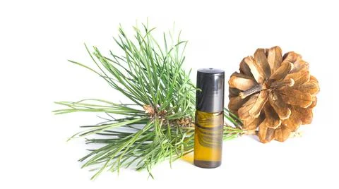 Pine twig, pinecone and bottle on white background Foto stock